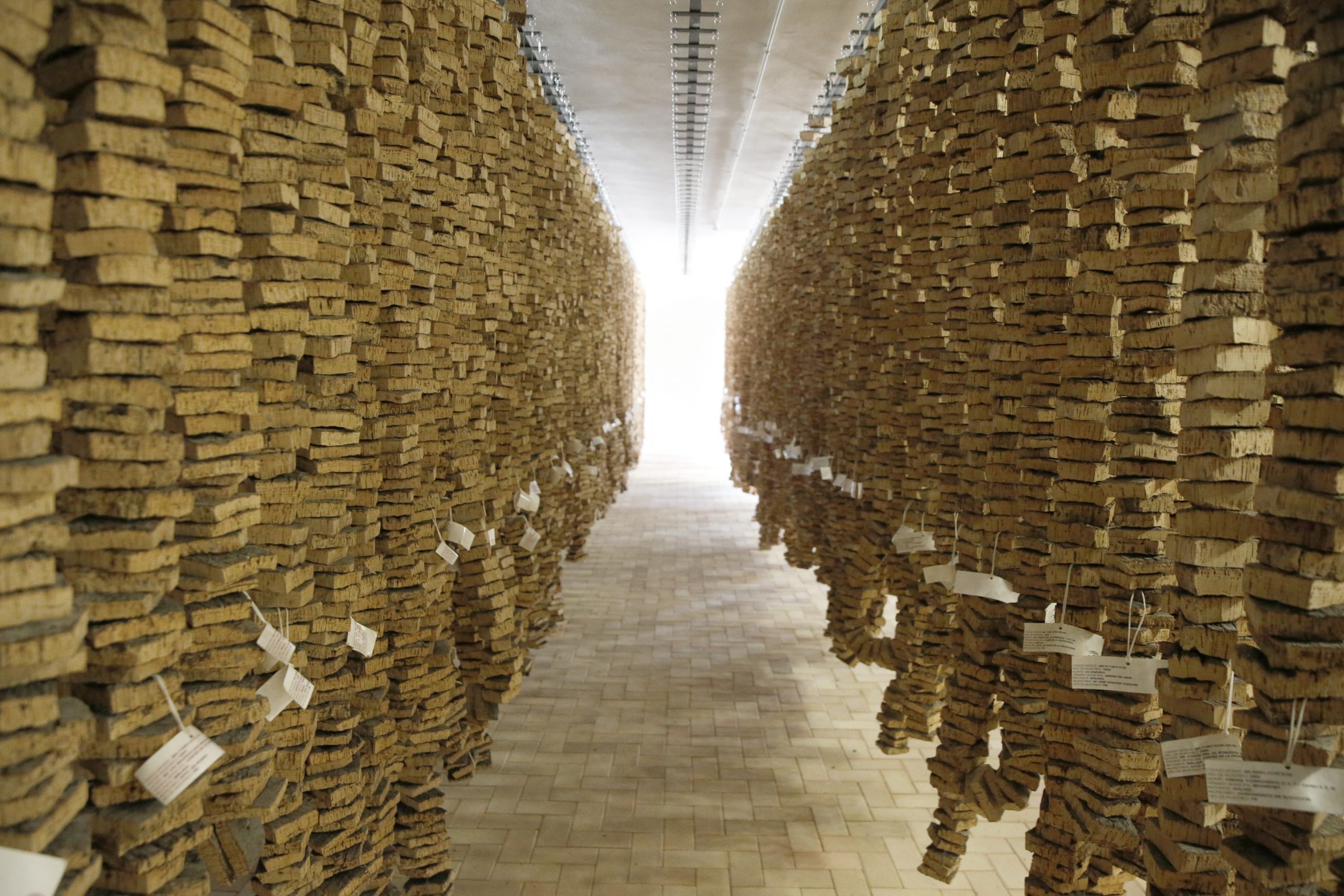 El Corcho Amigos de los Alcornocales