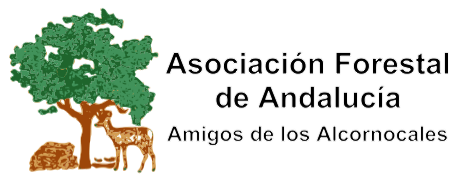 Logo Asociación